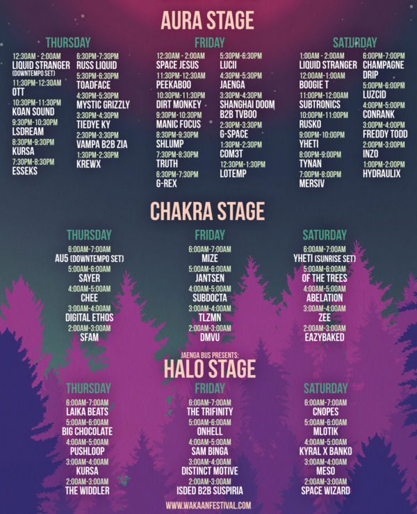 Wakaan Music Festival’s Inauguration Looks To Be One of The Best Fests ...